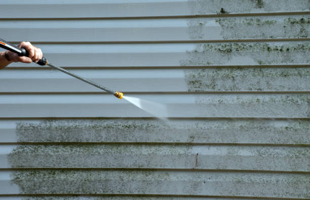 Mold Removal Process in Sleepy Hollow, WY