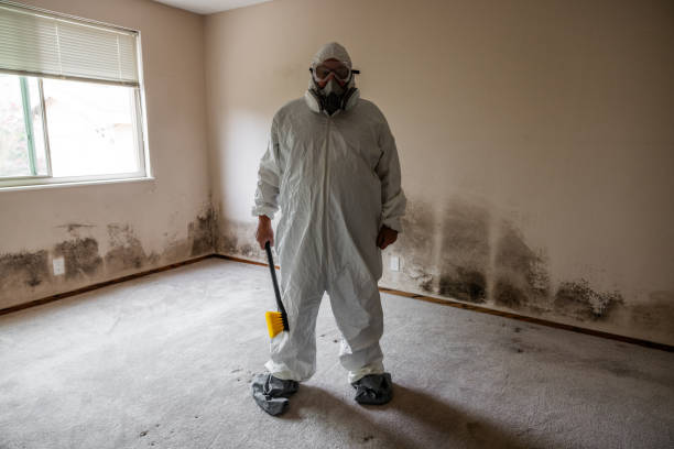 Best Professional Mold Removal  in Sleepy Hollow, WY